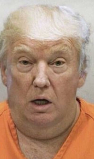 DonaldInStir